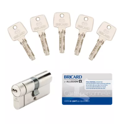 Cylindre de serrure Bricard Nexo 10 débrayable L.30 x 30mm 5 clés
