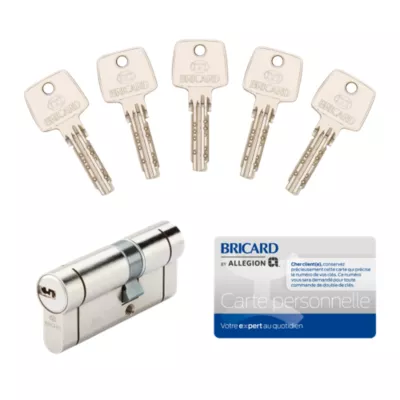 Cylindre de serrure Bricard Nexo 10 débrayable L.30 x 40mm 5 clés