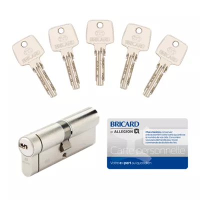 Cylindre de serrure Bricard Nexo 10 débrayable L.40 x 40mm 5 clés