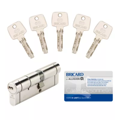 Cylindre de serrure Bricard Nexo 10 débrayable L.40 x 50mm 5 clés