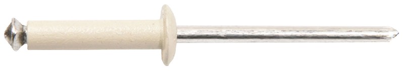 BTE 250 RIVET GOSTAR BLC 4X16