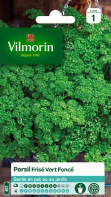 Graines de Persil Frisé Vert Vilmorin