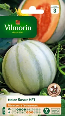 Graines de Melon Savor Hybride F1 Vilmorin