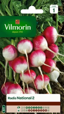 Graines de radis variété "National 2" Vilmorin semis de mars à septembre