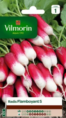Graines de radis variété "Flamboyant 5" Vilmorin semis de mars à septembre
