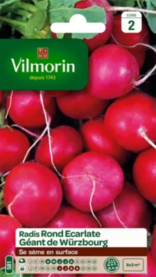 Graines de radis variété "Géant de Wurzbourg" Vilmorin semis d'avril à août