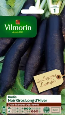 Graines de radis variété "Noir gros long d'hiver" Vilmorin semis de juin à août