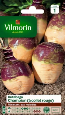 Graines de rutabaga variété "Champion à collet rouge" Vilmorin semis de mai à juillet