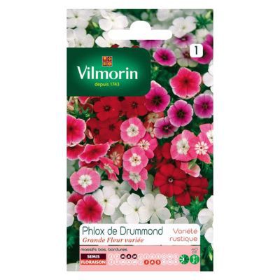 Graines de Phlox de Drummond Grande Fleur Variée Vilmorin