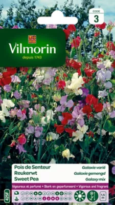 Graines de Pois de Senteur Galaxie Varié Vilmorin