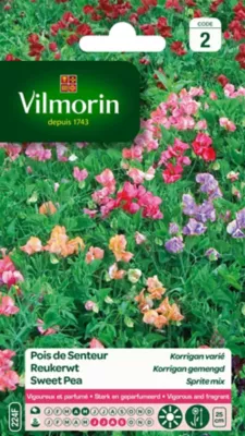 Graines de Pois de Senteur Korrigan Varié Vilmorin