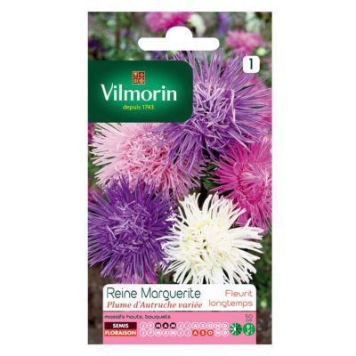 Graines de Reine-Marguerite Plume d'Autruche Variée Vilmorin