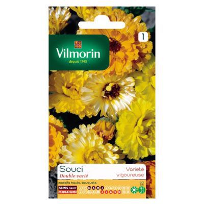 Graines de Souci Double Varié Vilmorin