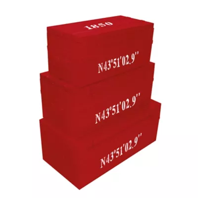 Malle de rangement en métal Loft rouge (lot de 3)