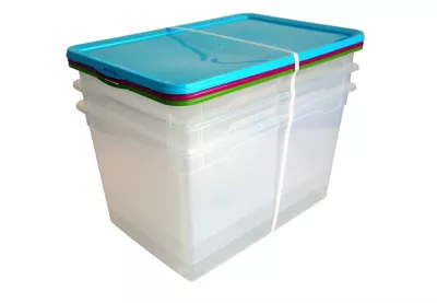 Lot de 3 boîtes Colorlid transparent 46 L