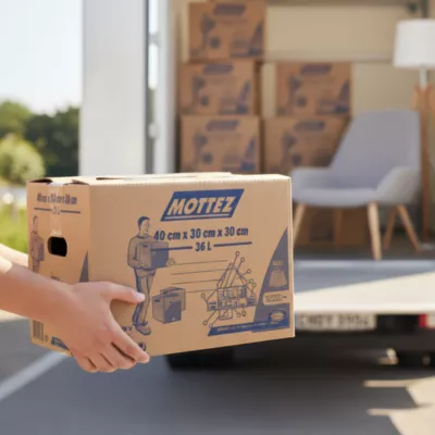 Carton de déménagement avec poignées 20 kg Mottez H. 30 x L. 40 x l. 30 cm, capacité 36 L