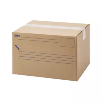 Carton d'expédition 15L L.300X l.250X H.2 mm Mottez