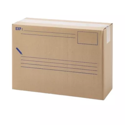 Carton d'expédition 10L L.35X l.12X H.25cm Mottez
