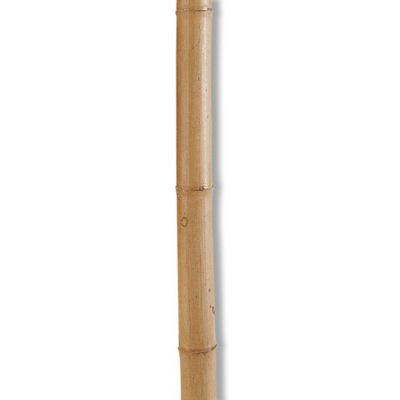 Tuteur bambou naturel NORTENE ø80mm h.295cm