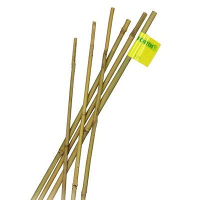 Tuteur bambou naturel Nortene ø8-10 mm h.90 cm