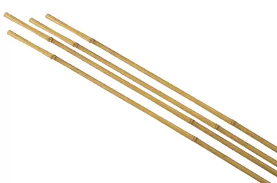 Tuteur pour plante en bambou H.120 cm (lot de 4)