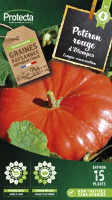Graines de poivron variété "Rouge d'Etampes" Protecta semis d'avril à juin