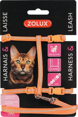 Kit sellerie pour chat Zolux orange harnais et laisse