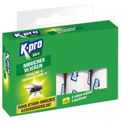 Boîte de 4 rubans attrape-mouches Kapo vert