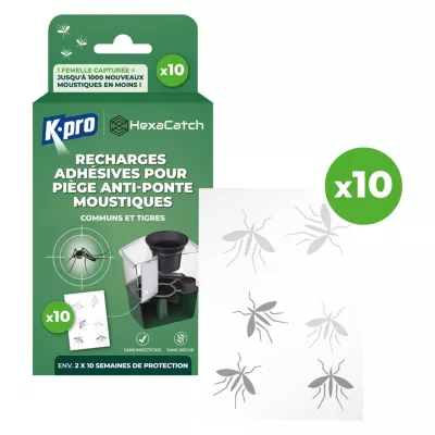 Pack de 10 recharges adhésives pour pièges anti-ponte moustiques K-Pro