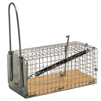 Nasse à souris en grillage galva