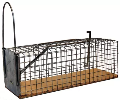 Nasse à rats monoprise avec socle en bois