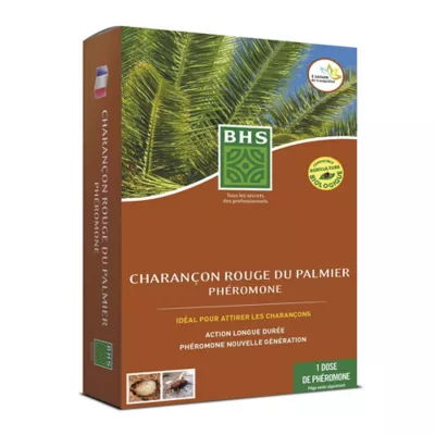 Recharge piège charançon rouge du palmier