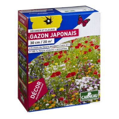Gazon japonais 20 m²