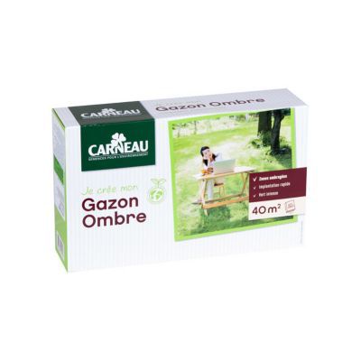 Gazon Carneau Création ombre 1kg