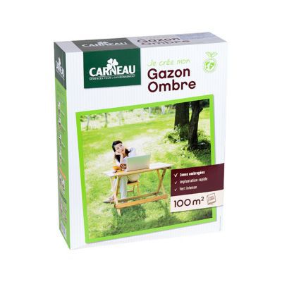 Gazon Carneau Création ombre 2,5kg