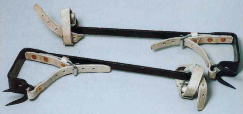 PAIRE GRIMPETTE P/ELAGUEUR 53