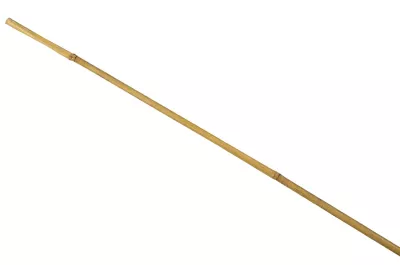Tuteur pour plante en bambou H.210 cm