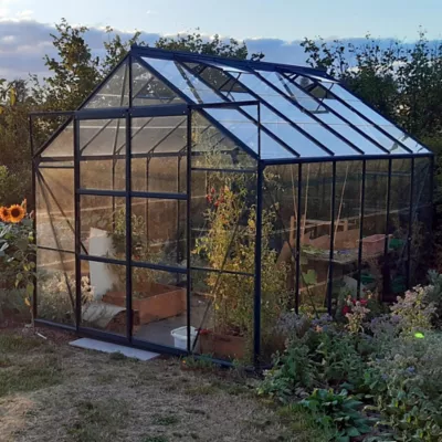 Serre en verre Lams Laurus vert 9,70m²