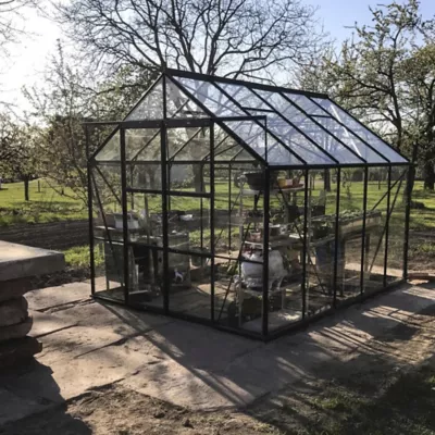 Serre en verre Lams Laurus vert 8,10m²