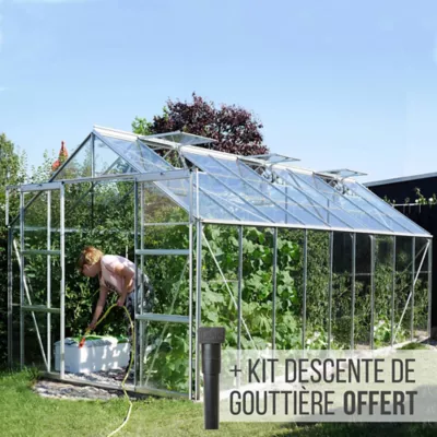 Serre en verre Lams Laurus alu naturel 14,40m²