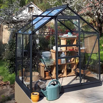 Serre en verre Lams Allium anthracite 2,50m²