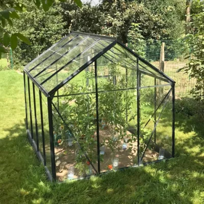Serre en verre Lams Allium anthracite 4,90m²