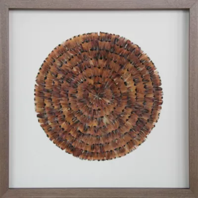Vitrine décorative Plumes rousses L.60 x l.60 cm