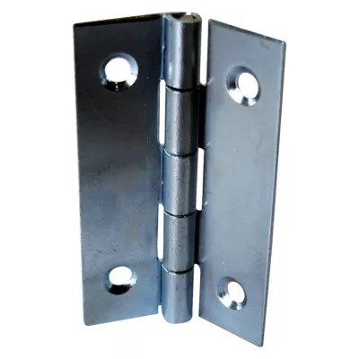 Charnière acier zingué Diall 70 x 40 mm, lot de 2