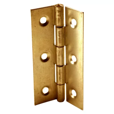 Charnière laiton poli Diall 100 x 50 mm