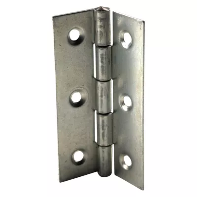 Charnière inox Diall 40 x 25 mm vendue par 2