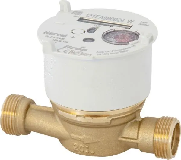COMPTEUR NARVAL+DN15 6UAB15Y110BR100LFCBXN_FR