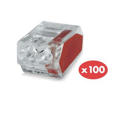Lot de 100 bornes 2 fils
