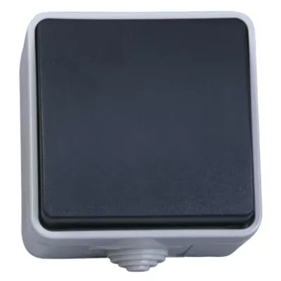 Poussoir étanche 10 A. Appareillage étanche saillie IP 54 gris