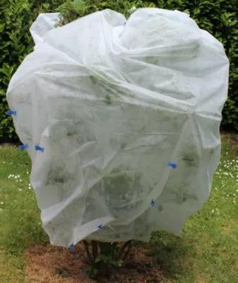 Voile d'hivernage polyéthylène 30g Jany 2 x 5 m